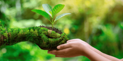 Jornadas «Amazonía y el reto de la Justicia Socioambiental desde el ámbito educativo en Euskadi»