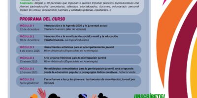 Curso: Acompañamiento y movilización juvenil